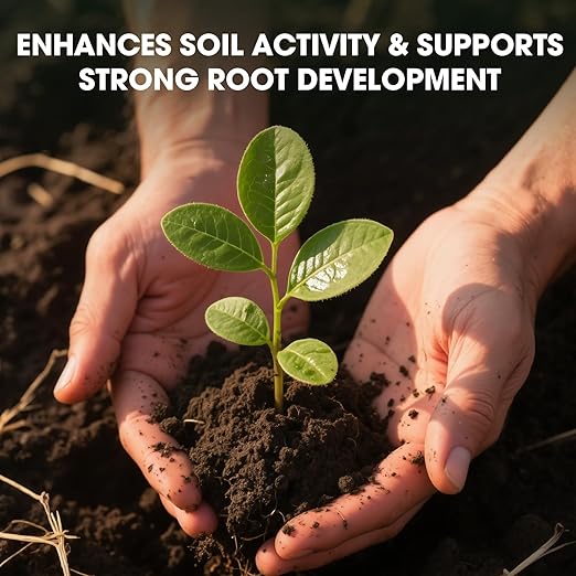 Soil Activator for Plants(32.4 oz / 920g), Organic Soil Activators and Plant Fertilizers for Garden Beds, Potting Mix, Seedling Compost, Root Growth Booster