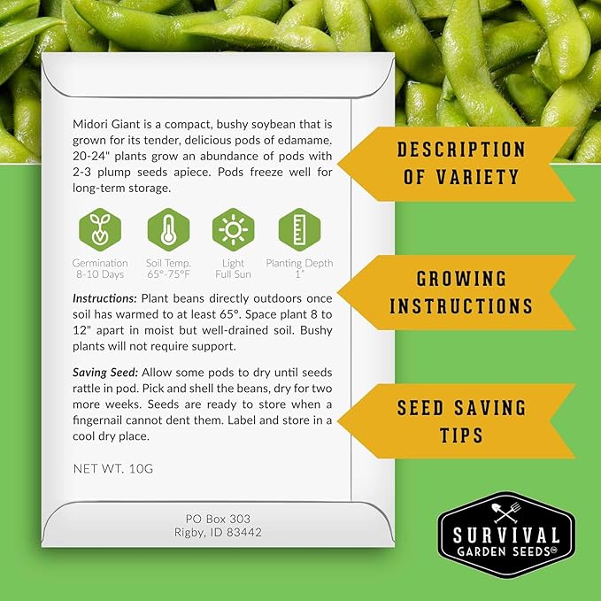Midori Giant Soybean Seeds for Planting - Grow Protein-Rich Edamame Pods in Your Home Vegetable Garden - Non-GMO Heirloom Soy Bean - Survival Garden Seeds (2 Packs)