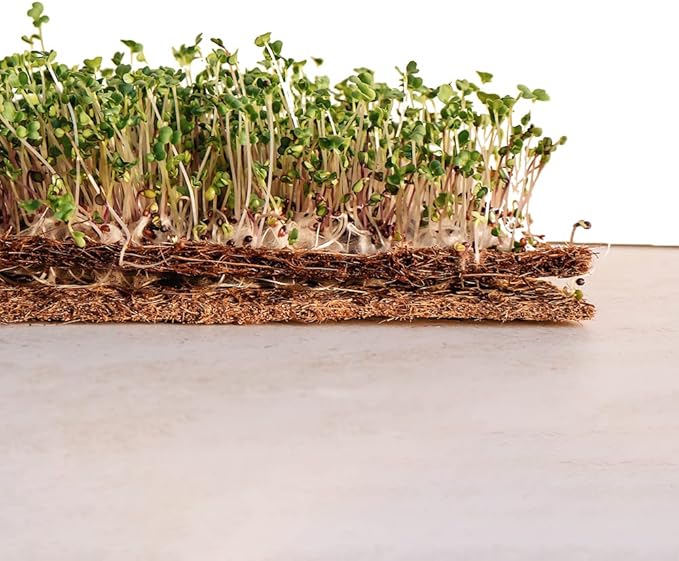 Envelor Coco Coir Fiber Grow Mat for Microgreens 10 x 20 Inches Coconut Coir Seed Starter Liner for Growing Trays, Hanging Baskets, Seed Starter Tray, Planter Sheets & Indoor Outdoor Plants, 20 Pack