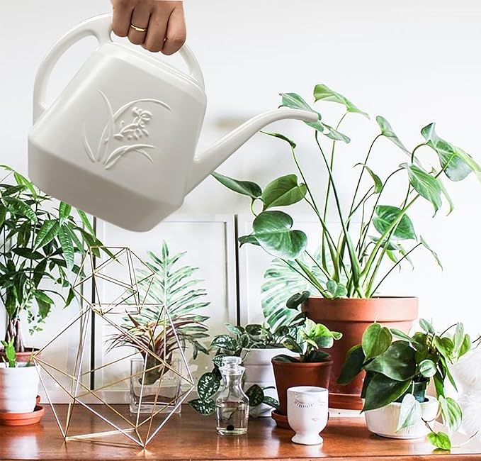 Plant Watering Can - 1 Gallon - White - with Long Spout for Indoor and Outdoor Plant Garden