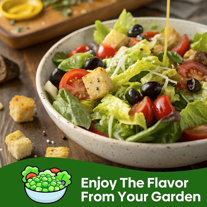 Groundio Lettuce Seeds, 5 Varieties Salad Greens Seeds, Non-GMO Heirloom Seeds for Planting Outdoor, Indoor or Hydroponic - Buttercrunch Lettuce, Romaine, Arugula, Kale and Spinach
