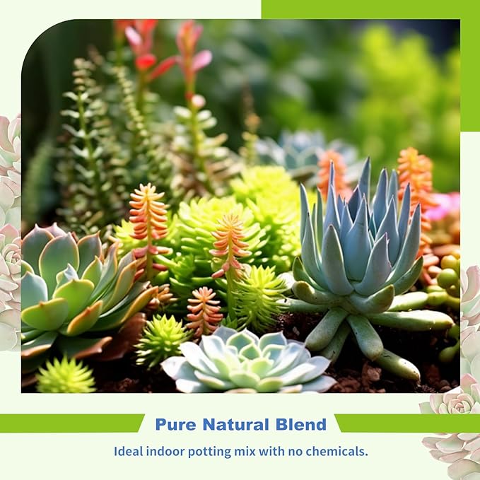 Succulent and Cactus Soil Potting Mix 1qt-Premium Breathable & Fast Draining for Healthy Plants