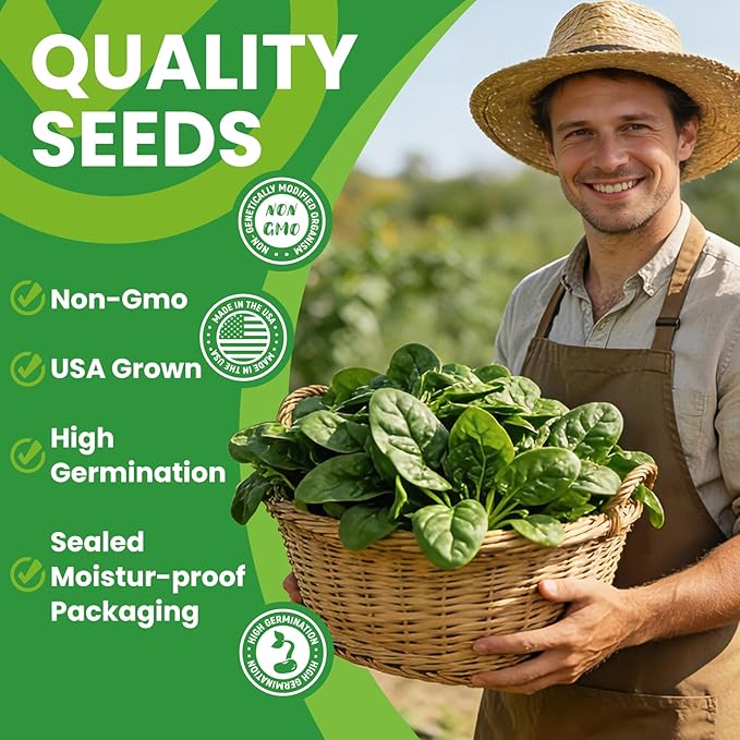 Bloomsdale Spinach Seeds for Planting 960+ Seeds - Non-GMO Heirloom Seeds High Germination Spinach for Indoor Outdoor Home Vegetable Garden - Abundance of Leafy Greens (Spinach Seeds)