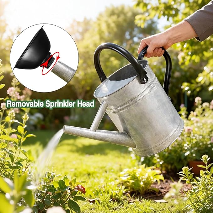 Metal Watering Can with Removable Spout, Galvanized Steel Plants Water Can for Women, Men and Kids' Outdoor or Indoor Gardening - Nice Flower Watering Pot Gift & Decoration (Zinc, 0.6 Gallon)