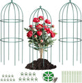 DoCred 3 Pack Plant Support Cage Large Peony Cages and Supports Peony Cage Obelisk Trellis for Climbing Plants Tomato Cages Plant Supports for Outdoor Plants Garden Decor, Green