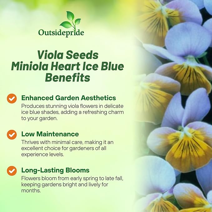 Outsidepride Miniola Heart Ice Blue Violet Seeds for Planting - 100 Pcs Annual, Compact & Pollinator Friendly Viola Flower Seeds w/Green and Blue Blooms, Ideal for Garden Borders & Container Displays
