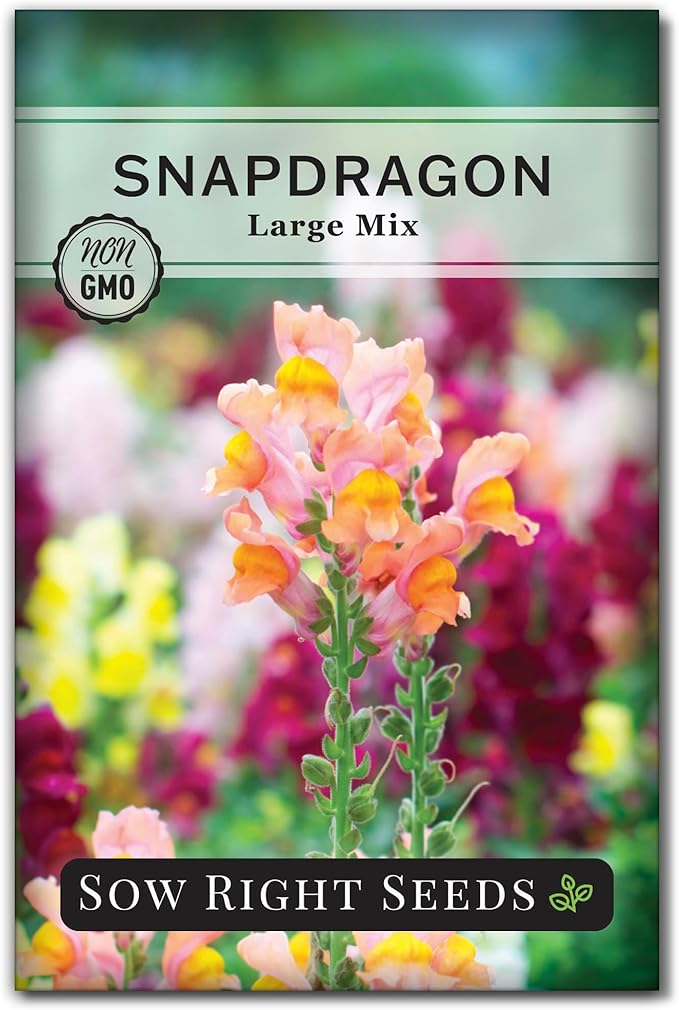 Sow Right Seeds - Large Mixed Snapdragon Flower Seeds for Planting - Non-GMO Heirloom Packet With Instructions to Grow - Fragrant Annual Flower Spikes in a Mix of Colors - Long-Lasting Blooms