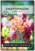 Sow Right Seeds - Large Mixed Snapdragon Flower Seeds for Planting - Non-GMO Heirloom Packet With Instructions to Grow - Fragrant Annual Flower Spikes in a Mix of Colors - Long-Lasting Blooms