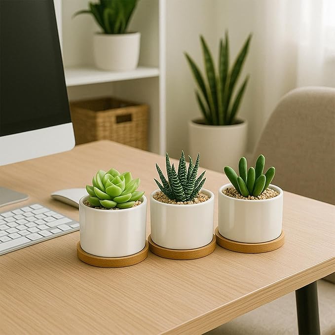 ZOUTOG Succulent Pots 3.15 Inch,4 Pack Succulent Planters,Small Pots for Plants with Drainage and Tray,White Ceramic Flower Planters for Indoor Plants,Home,Office,Desk
