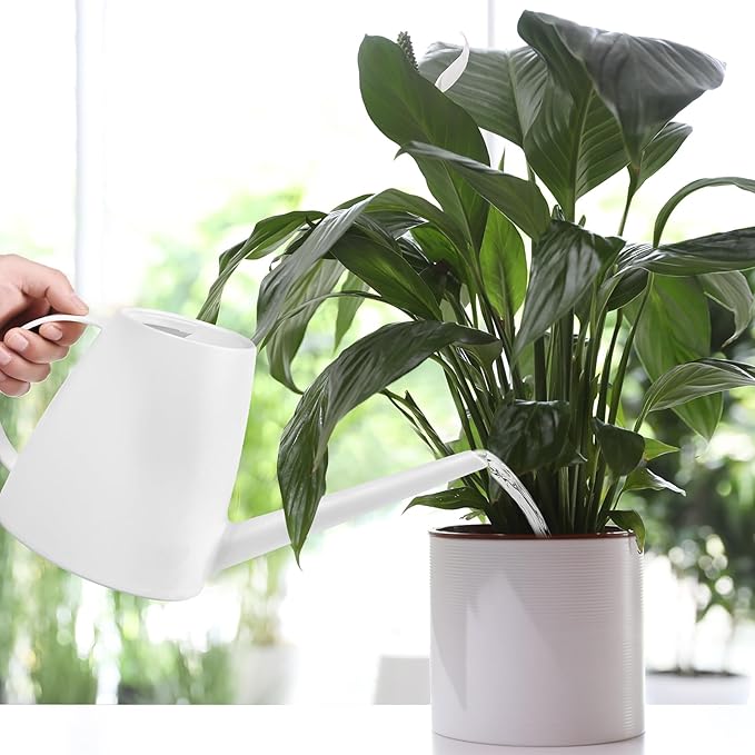 Watering Can - for Indoor and Outdoor House Plant Garden - with Long Spout - 1/2 Gallon - White