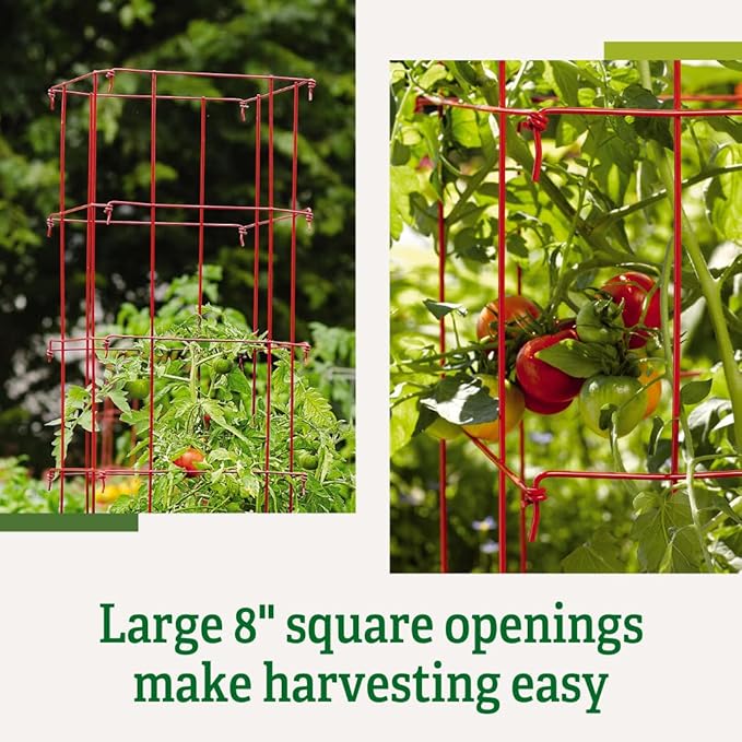 Gardener’s Supply Company Lifetime Tomato Cages | Heavy Gauge Sturdy Garden Plant Supports for Vegetables and Other Climbing Plants | No Assembly Needed - Red (Set of 4)
