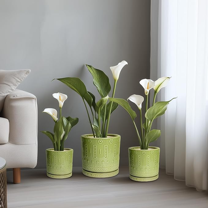 Eightpot Ceramic Planter - 12 Inch Pots for Plants Indoor Outdoor, Round Large Flower Pots with Drainage Hole and Saucer, Decorative Boho Planter, Home Office Decor, Plant Lover Gifts, Green