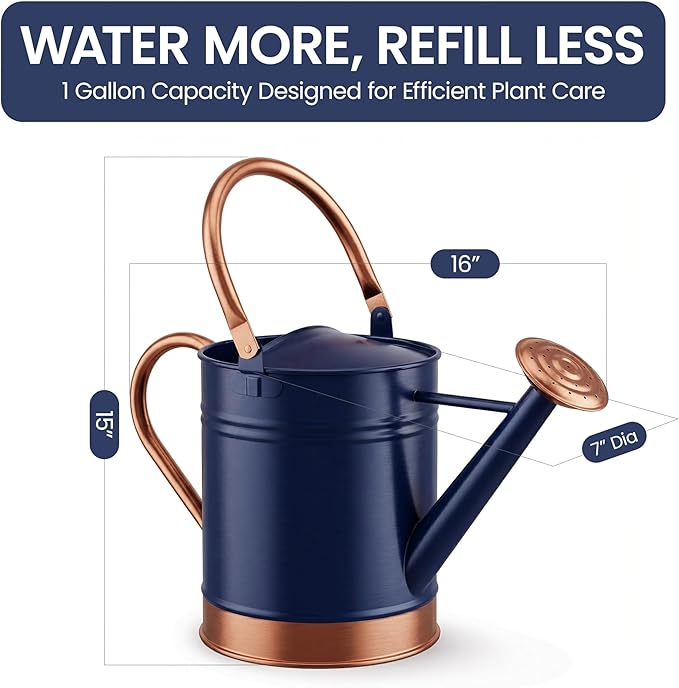 Gardenised 1 Gallon Galvanized Metal Watering Can with Removable Long Spout & Sprinkler Head for Indoor & Outdoor Use Ideal for Garden Flowers Potted Plants Houseplants Modern Home Accessories, Blue