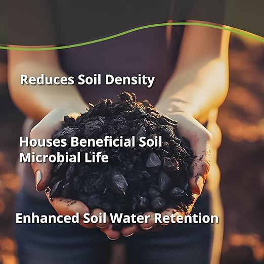 Worm Bliss (2 Gallons) + Char Bliss (8 Qts) - Organic Worm Castings for Plants & Organic Biochar for Plants - Biochar Soil Amendment - Charcoal for Plants - Earthworm Castings Organic Fertilizer