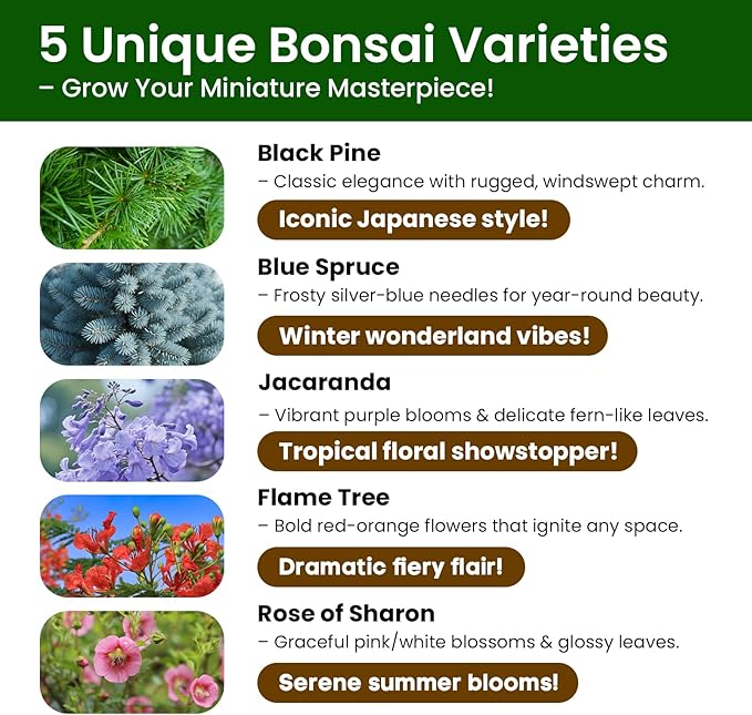 Bonsai Tree Kit for Beginners - 5 Unique Japanese Bonsai Seeds, DIY Indoor Gardening Crafts for Adults | Valentine's, Mother's Day & Birthday Gifts for Women and Men | Complete Starter Kit with Tools