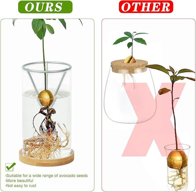 Avocado Tree Growing Kits, Avocado Growing Vase Wooden Base Avocado Seed Starter Vase Glass Plant Pot Easy Seed Sprout Starter Gift for Women Gardening Lovers Home Office Table Decoration