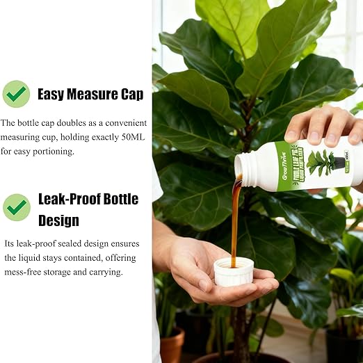 10oz Fiddle Leaf Fig Plant Food for All Fig and Other Ficus Trees, Liquid Houseplant Fertilizer for Ficus Plants, Ideal Fiddle Leaf Fertilizer, Ficus Plant Food for Improves Leaves and Branches