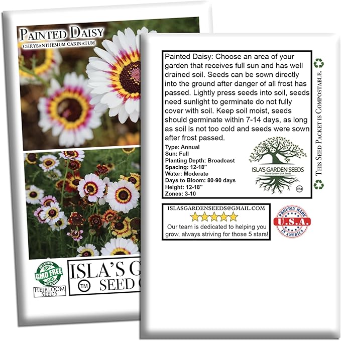 Painted Daisy Flower Seeds (Chrysanthemum carinatum) – 500+ Non-GMO Heirloom Seeds by Isla’s Garden Seeds, Bold Multicolor Blooms, Great for Borders, Pollinator-Friendly, Cottage Gardens