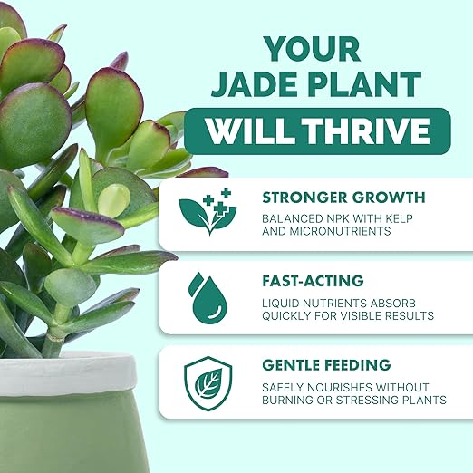 TPS NUTRIENTS Jade Fertilizer for All Jade and Crassula Plants, Liquid Plant Food, 32 oz (1 Quart)