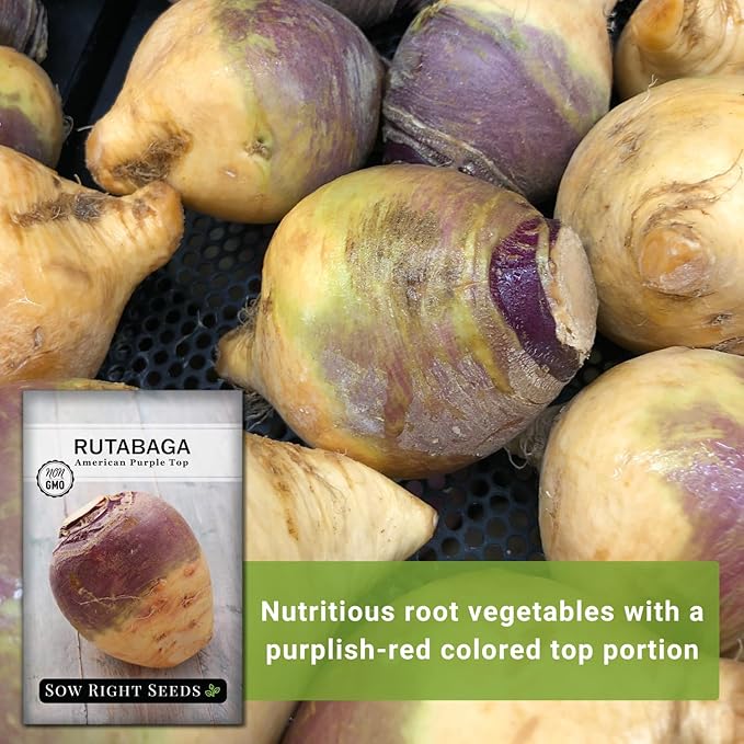 Sow Right Seeds - American Purple Top Rutabaga Seeds for Planting - Non-GMO Heirloom Packet with Instructions to Grow an Outdoor Home Vegetable Garden - Yellow Flesh Rutabaga - Sweet Root Crop (2)
