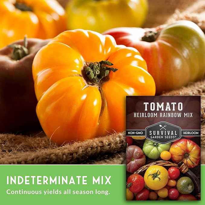 Heirloom Rainbow Mix Tomato Seeds for Planting - Colorful Heirloom Tomato Seed Variety Pack, High Yield Garden Tomatoes, Non-GMO Open Pollinated - Survival Garden Seeds (3 Pack)