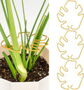 Monstera Plant Support 3 Pack, Plant Supports for Indoor Plants, Metal Plant Stem Holder Large Plant Support Ring Unique Design for Climbing Plants Stem Stabilizer Growth Accessories (Gold)