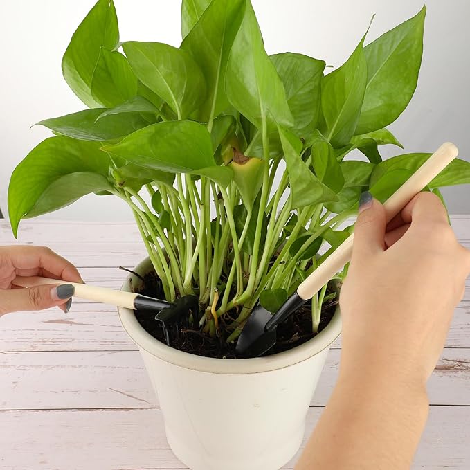 13 Pieces Bonsai Tools Set Succulent Mini Garden Hand Tools Includes Pruning Shears, Mini Rake, Fold Scissors, Bud and Leaf Trimmer for Small Fairyland Gardening Plant