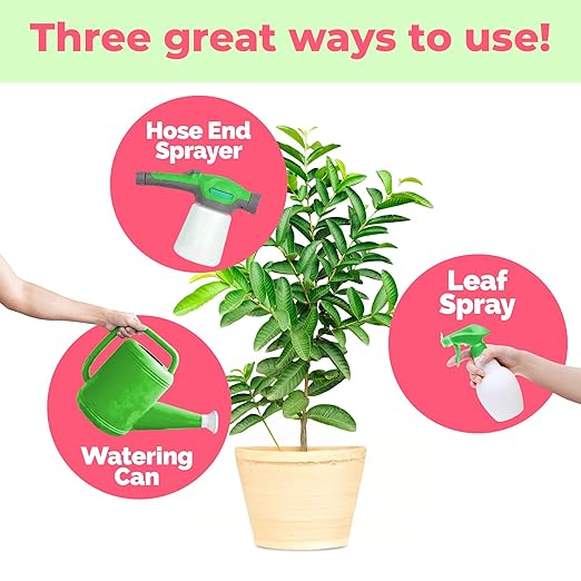Guava Tree Fertilizer for Guava Trees, Great for White, Pink, and Red Guava Varieties, Liquid Fertilizer by TPS Plant Foods, 32 oz (1 Quart)