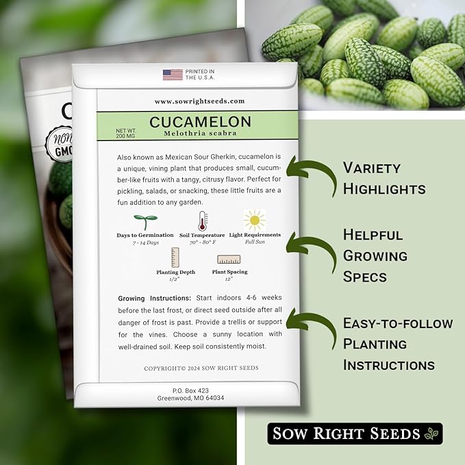 Sow Right Seeds - Cucamelon Seeds for Planting - Non-GMO Heirloom Packet with Instructions to Plant an Outdoor Home Vegetable Garden - Mini Bitter Mouse Melon, Mexican Sour Gherkin - Rare Variety (1)