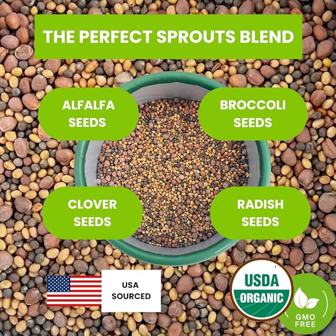 ZestiGreens Fresh Sprouting Seeds Mix Broccoli, Alfalfa, Radish, Clover Seeds in Food Grade Colorful Container with Lid for Easier Scooping & Keeping Fresher (0.5 lb)