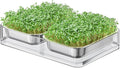 FANHAO Upgraded Visual Seed Sprouter Tray, Stainless Steel Soil-Free Cultivation Germination Tray with Acrylic Base, Healthy Microgreens Growing Kit for Indoors Sprouting Seeds, Grow Grass, Beans
