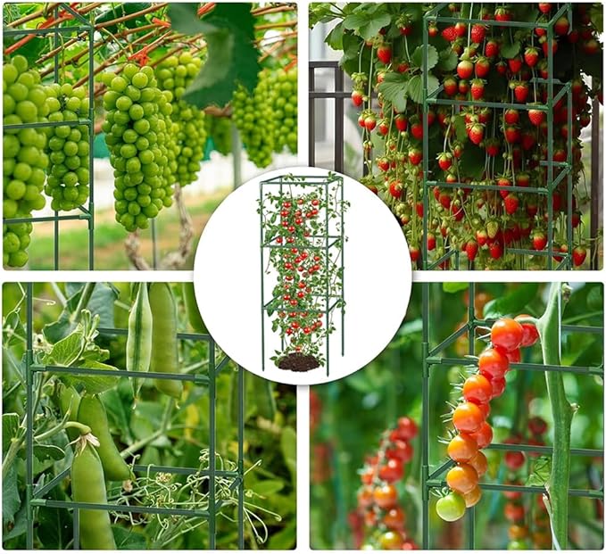 3 Pack Tomato Cage Square Tomato Plant Stakes Support Cages Trellis Outdoor Plant Support Cages Stakes for Garden Climbing Vegetables Flowers Fruits,Extra Bold (48 inch)