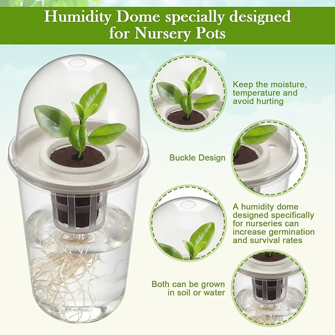 12 Pack 3.54 in Clear Hydroponic Nursery Kit with Humidity Dome Transparent Plant Starter Hydroponic Pots for Seed Starting Gardening Flower Plant Pots Germination Nursery Pot