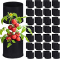 Zubebe 60 Pack Plant Grow Bags Bulk Garden Bags Aeration Grow Pots Heavy Duty Thickened Nonwoven Fabric Plant Pots Black Planting Container for Potato Tomato Vegetable Flower Fruits (5 Gallon)