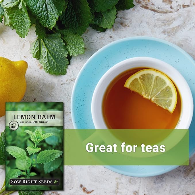 Sow Right Seeds - Lemon Balm Seeds for Planting - Non-GMO Heirloom Packet with Instructions - Easy to Grow Herb Garden - Aromatic Herb and Great for Herbal Teas - Perennial Mint Relative (1)