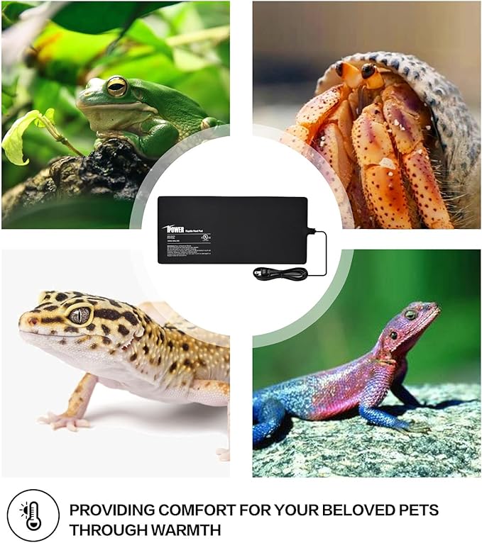 iPower 8X18 Inch Reptile Heat Pad Under Tank Heater Terrarium Warmer Heating Mat and Digital Thermostat Controller for Turtles Lizards Frogs and Other Small Animals