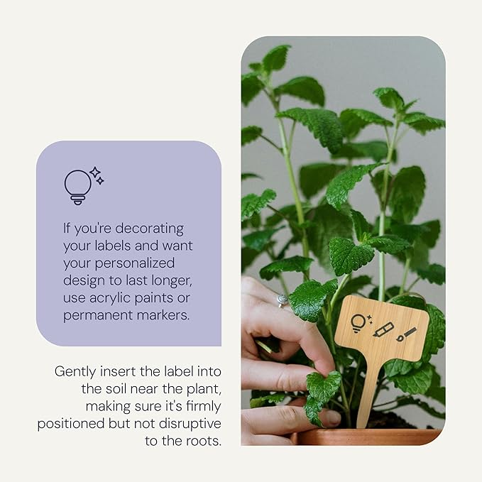 Bamboo Plant Labels & Garden Tags | 4" Short T-Type Wooden Garden Markers for Labeling Herbs, Seedlings, Vegetables, Cheeses, Appetizers, Desserts | 50 pcs