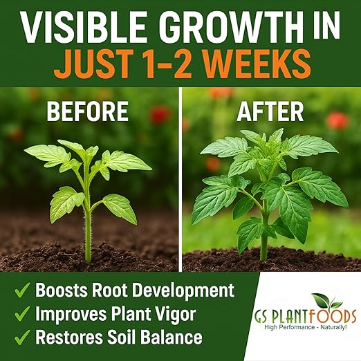 GS Plant Foods Root Ruckus Compost Fertilizer Organic Plant Food - Turbo Charged Compost for Plants - Humic Acid & Sea Kelp Nutritional Root Supplement for Lawns, Soil, Shrubs & Vegetables - 32 Oz
