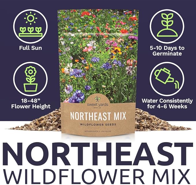 Sweet Yards - Northeast Wildflower Seed Regional Mixes - Bulk 1/4 Pound Bag - Over 30,000 Native Seeds - Open Pollinated and Non GMO Varieties for New York, Virginia, Pennsylvania, Maine and More!
