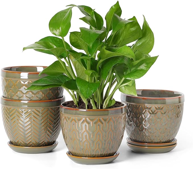 Sureasy Ceramic Indoor Plant Pots, 5.6 Inch Flower Pots for Plants with Drainage Hole and Saucer, Embossed Planter for Succulents, Orchid, Cactus, Indoor Home Decor, Set of 4, Green