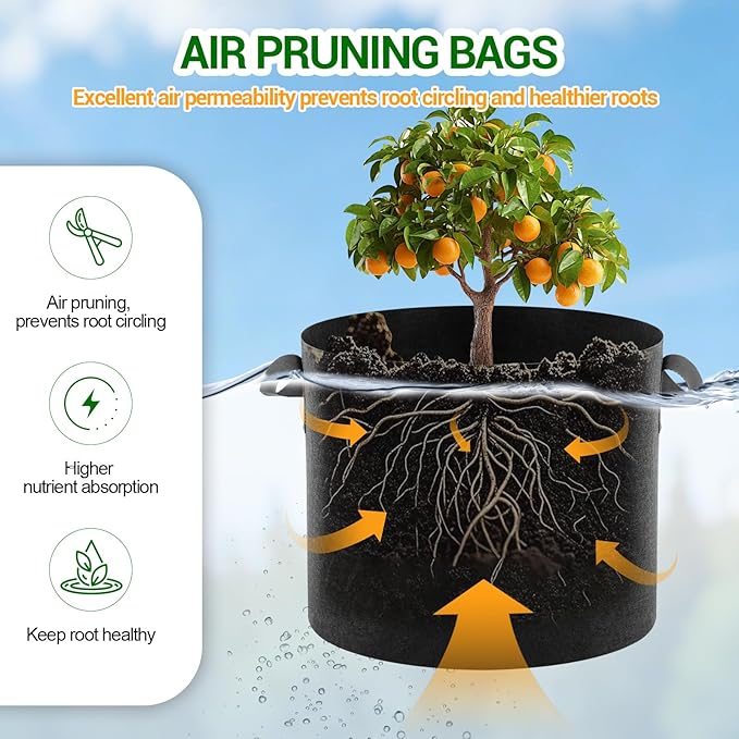 5-Pack 10 Gallon Grow Bags, Thickened Aeration Fabric Pots with Handles, Heavy Duty Plant Bags for Vegetables, Tomatoes, Potatoes, Fruits & Flowers, Reusable Garden Pots for Plants