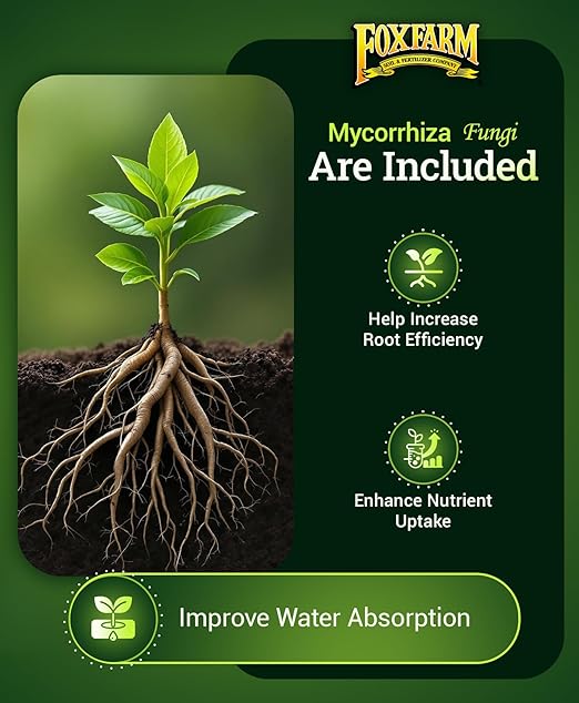 Happy Frog Tomato & Vegetable Fertilizer - Organic Vegetable Fertilizer for Vigorous Feeders, 5-7-3 Blend with Calcium & Mycorrhizal Fungi, Supports Abundant Fruit & Disease Resistance, 4lb, Pack of 2