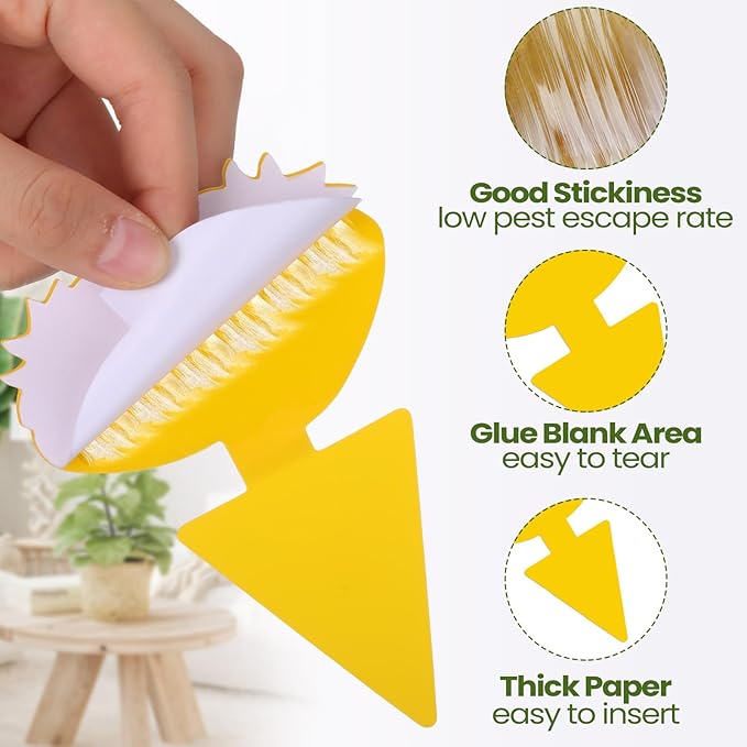 Qualirey 200 Sheets Fruit Fly Sticky Traps for Fruit Fly Gnat Trap for House Indoors Sticky Traps Catcher for Gnats Fungus Gnats Mosquito Catcher for Kitchen Outdoor Plants (Cute Style, Yellow)