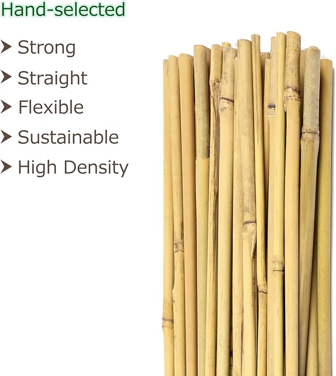 Bamboo Sticks for Plants 2 Feet Bamboo Stakes for Indoor Gardening Plant Stakes Supports Potted Plants Mini Trees Garden Stakes - Pack of 30 Bamboo Poles