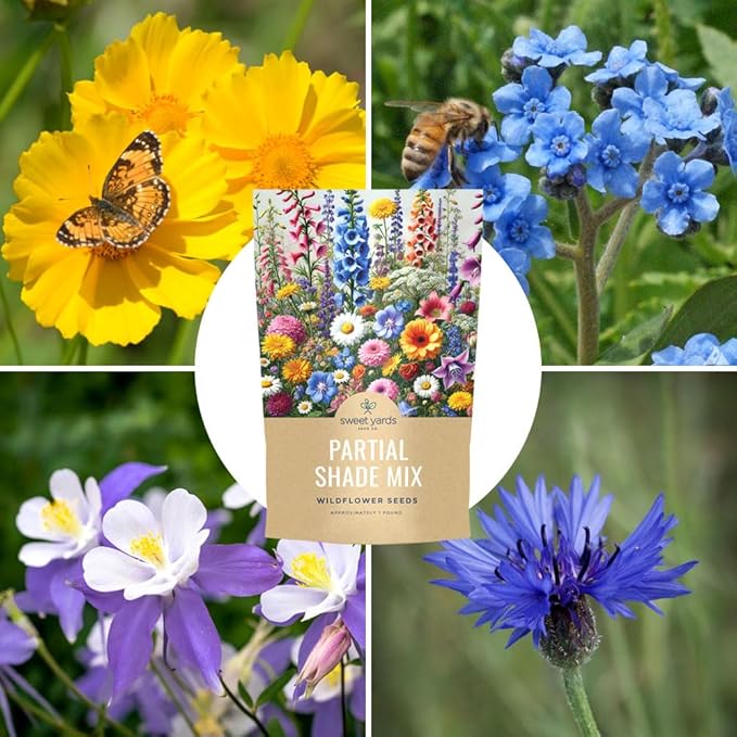Bulk Wildflower Seeds Partial Shade Mix - 5 Pounds - Over 600,000 Open Pollinated Annual and Perennial Seeds