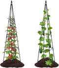 Garden Trellis for Climbing Plants Outdoor, 67" Tall Metal Obelisk Trellis Climbing Plants Support for Vegetable|Flower|Vine, Tomato, Peas, Beans, Cucumber Trellis, Lightweight, 1 Pack