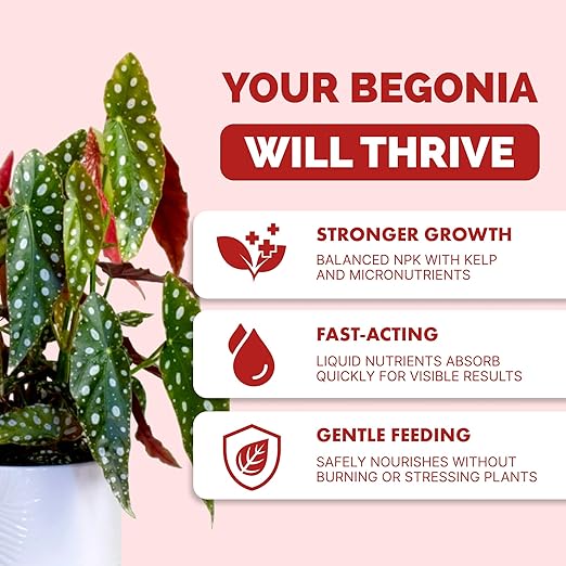 Begonia Fertilizer- Liquid Plant Food for All Begonias, Promotes Healthy Growth & Vibrant Foliage, 8 oz