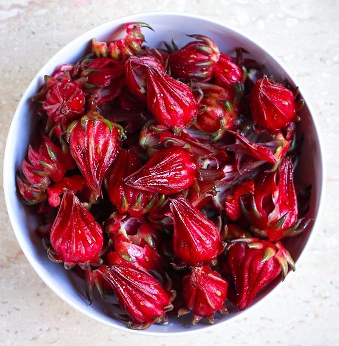 TomorrowSeeds - Red Hibiscus Roselle Seeds - 50+ Count - for 2026 Planting Hibiscus Sabdariffa Burmese Chin Baung Jamaican Sour Leaf Sorrel Jamaica Rosella Rau Chua Herbs Vegetable Grow Your Own Home