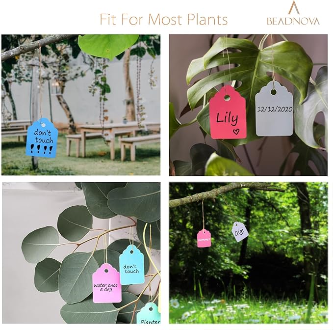 BEADNOVA Plant Hanging Tags 100pcs Tags with String Reusable Plant Labels Markers Plastic Garden Signs Garden Markers for Outdoor (2 Inch, Light Green)