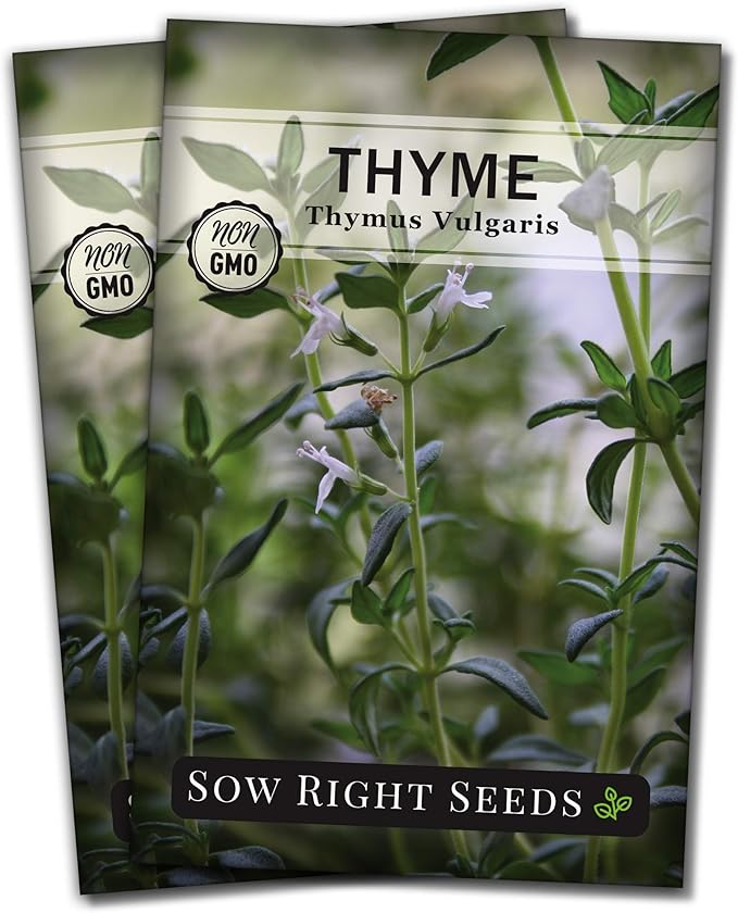 Sow Right Seeds - Thyme Seed for Planting - Non-GMO Heirloom Packet with Instructions for Easy Planting Your Kitchen Herb Garden - Indoor or Outdoor - Great for Hydroponics Growing - Culinary Herb (2)